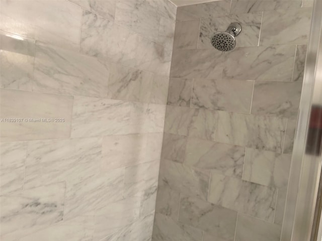 371 S Hollybrook Dr Unit 308, Pembroke Pines, FL 33025 - bathroom view of tiled shower