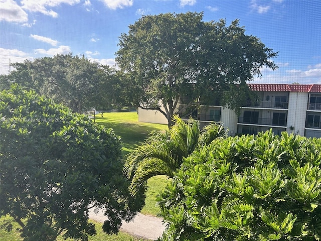 371 S Hollybrook Dr Unit 308, Pembroke Pines, FL 33025 - view of yard