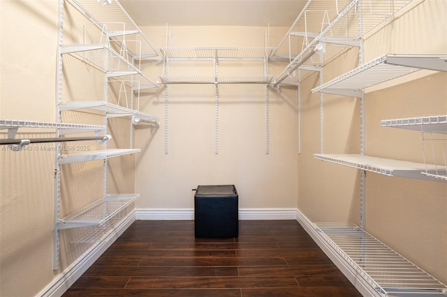 8010 SW 18th Ct Unit 1-8, Davie, FL 33324 - walk in closet with hardwood / wood-style floors