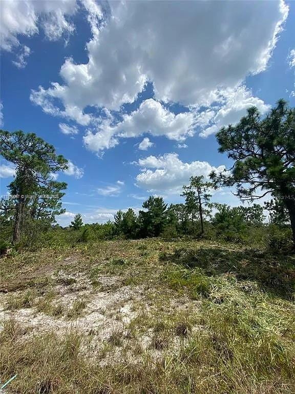 3554 Mariana Ave, Lake Placid, FL 33852 - photo 4