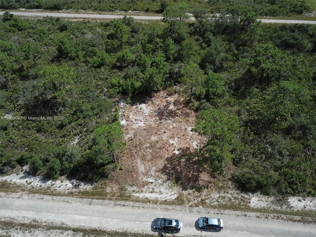 3554 Mariana Ave, Lake Placid, FL 33852 - photo 6