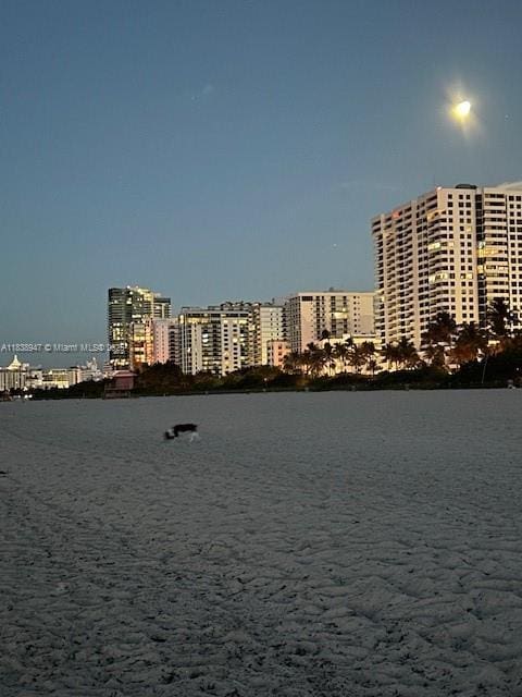 2899 Collins Ave Unit 1504, Miami Beach, FL 33140 - water view