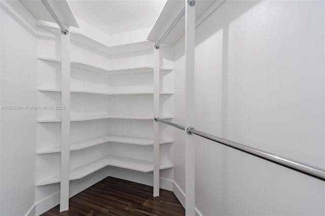 5050 Greenwich Preserve Ct, Boynton Beach, FL 33436 - walk in closet featuring dark wood finished floors