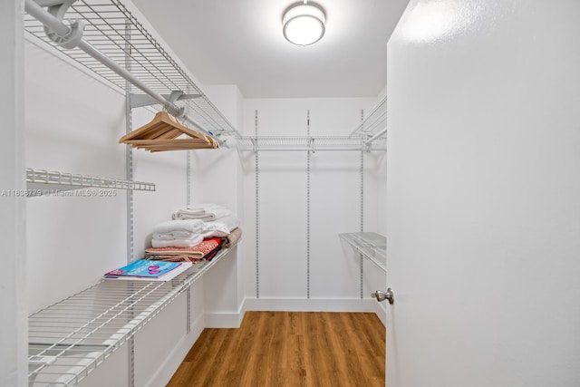 1440 Brickell Bay Dr Unit 307, Miami, FL 33131 - spacious closet with light wood-style floors