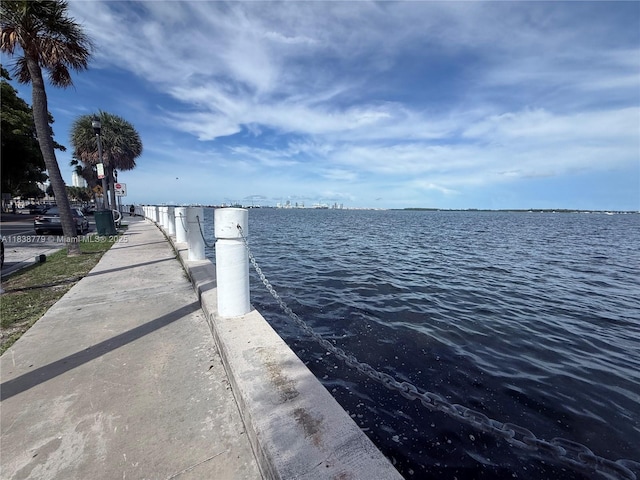 1440 Brickell Bay Dr Unit 307, Miami, FL 33131 - dock area with a water view