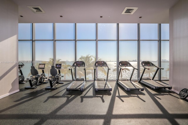 2900 NE 7th Ave Unit 404, Miami, FL 33137 - gym with a wall of windows