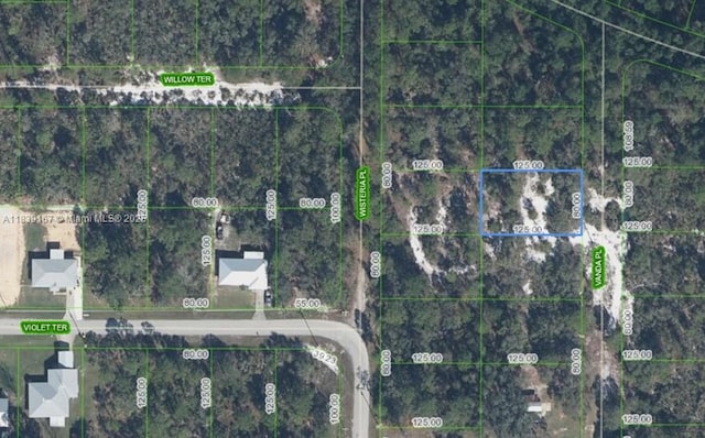 6809 Vanda Pl, Sebring, FL 33875 - photo 2
