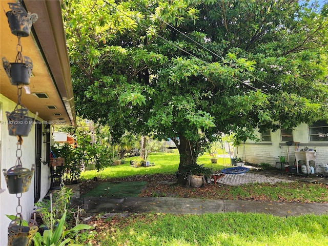 3521 E 8th Ave, Hialeah, FL 33013 - view of yard