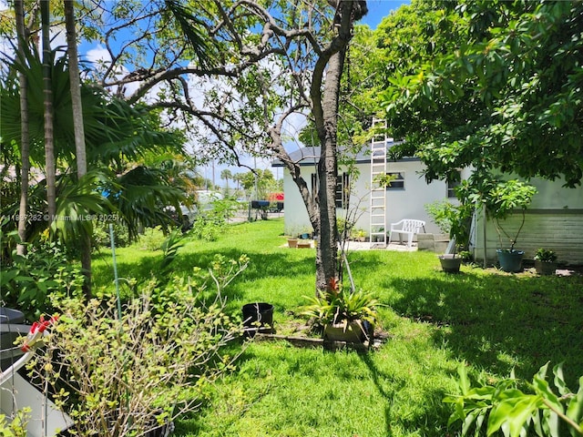 3521 E 8th Ave, Hialeah, FL 33013 - view of grassy yard
