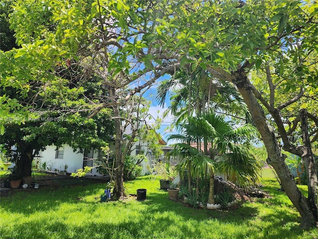3521 E 8th Ave, Hialeah, FL 33013 - view of green lawn