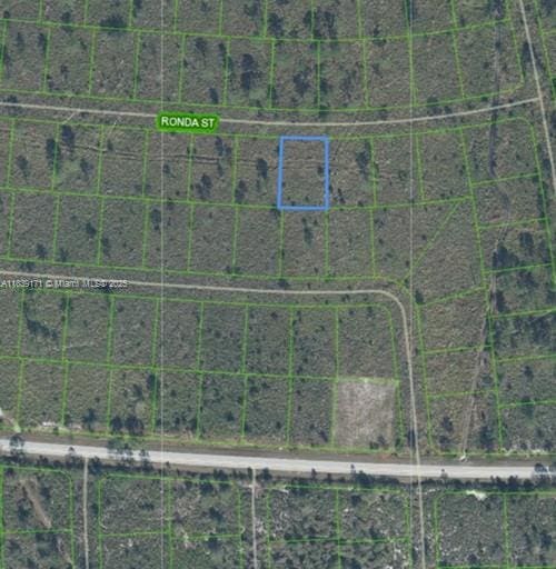 7811 Ronda St, Sebring, FL 33872 - photo 2