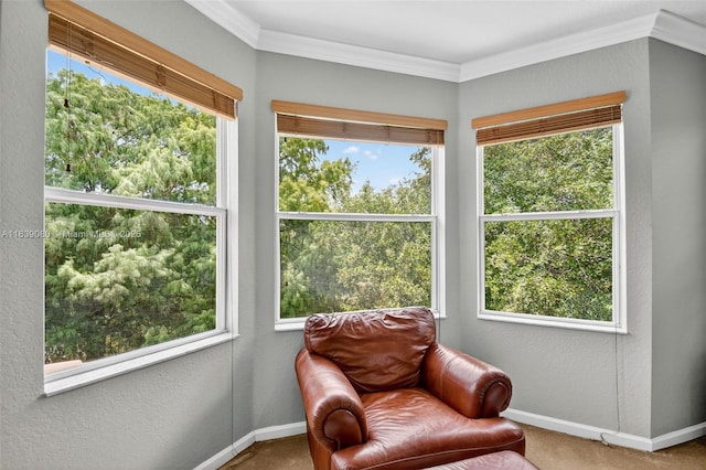 1086 Grove Park Cir, Boynton Beach, FL 33436 - living area featuring carpet flooring, a textured wall, ornamental molding, and healthy amount of natural light