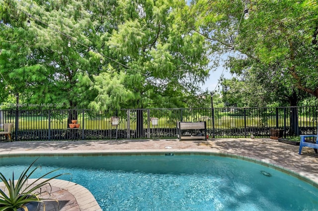 1086 Grove Park Cir, Boynton Beach, FL 33436 - view of swimming pool featuring a swimming pool and view of scattered trees