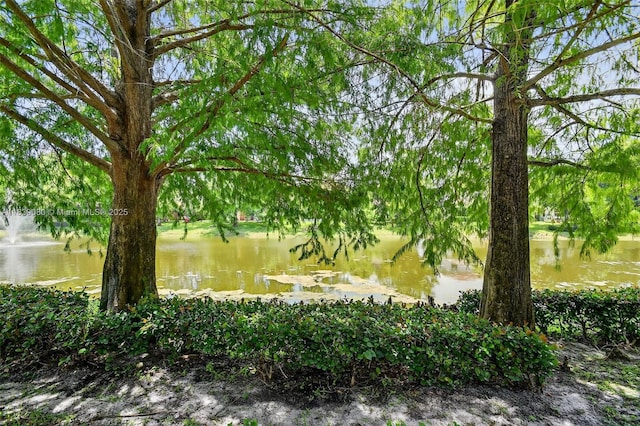 1086 Grove Park Cir, Boynton Beach, FL 33436 - view of yard with a water view
