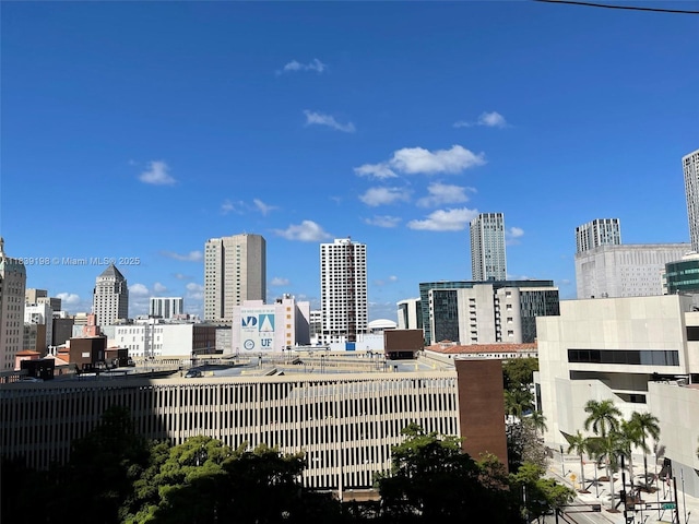 234 NE 3rd St Unit 905, Miami, FL 33132 - view of city skyline