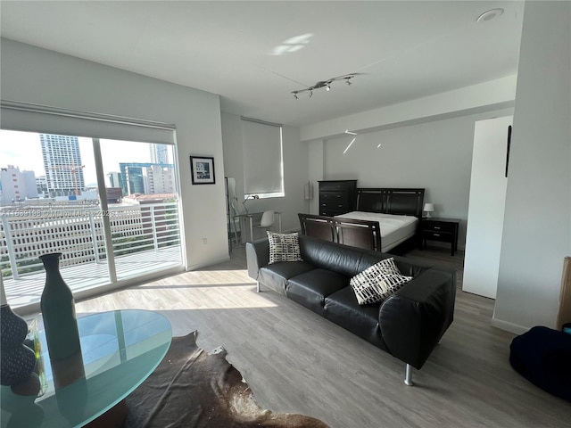 234 NE 3rd St Unit 905, Miami, FL 33132 - living area with wood finished floors and a view of city