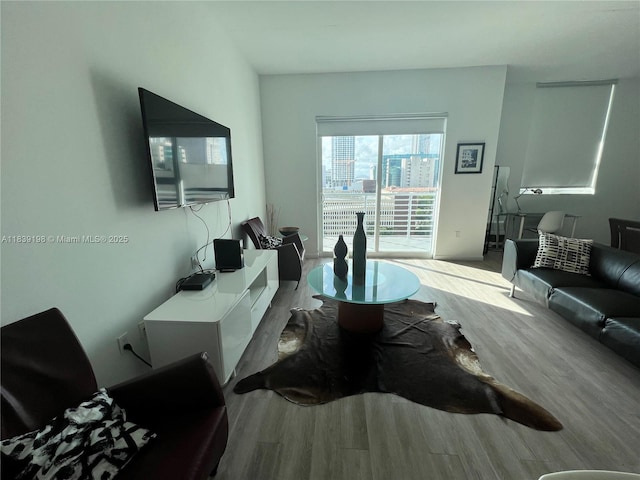 234 NE 3rd St Unit 905, Miami, FL 33132 - living room featuring wood finished floors