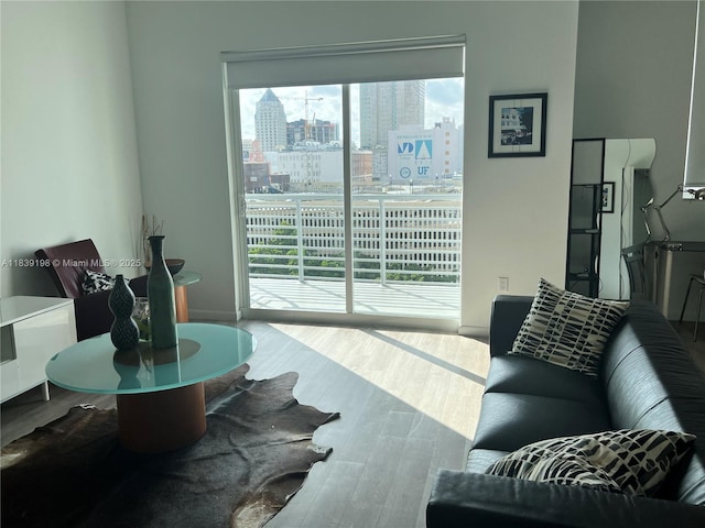 234 NE 3rd St Unit 905, Miami, FL 33132 - living area with wood finished floors and a city view