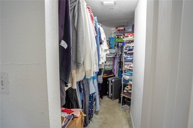 17425 NW 75th Pl Unit 101, Hialeah, FL 33015 - spacious closet with radiator and light colored carpet
