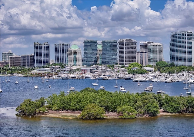 2675 S Bayshore Dr Unit 1601S, Miami, FL 33133 - water view with city skyline and numerous boat docks