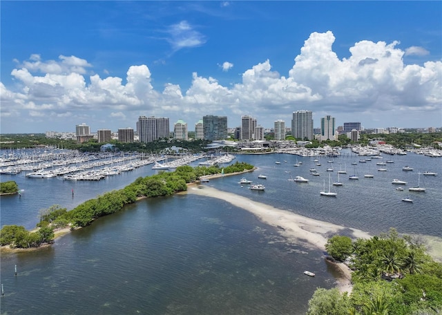 2675 S Bayshore Dr Unit 1601S, Miami, FL 33133 - water view with city skyline and a marina