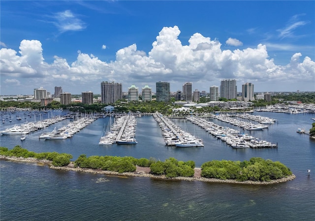 2675 S Bayshore Dr Unit 1601S, Miami, FL 33133 - water view with city skyline and numerous boat docks