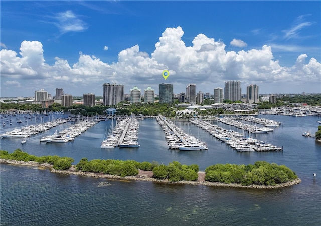 2675 S Bayshore Dr Unit 1601S, Miami, FL 33133 - water view featuring a marina and city skyline