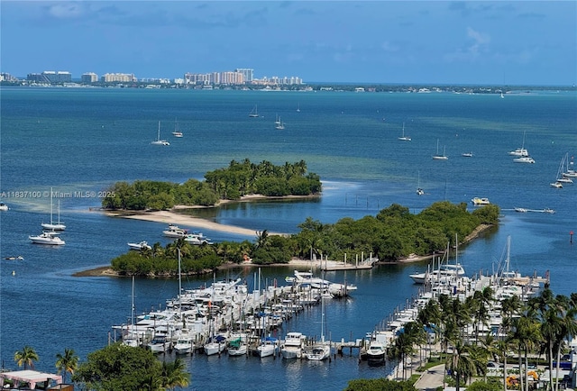 2675 S Bayshore Dr Unit 1601S, Miami, FL 33133 - water view with numerous boat docks