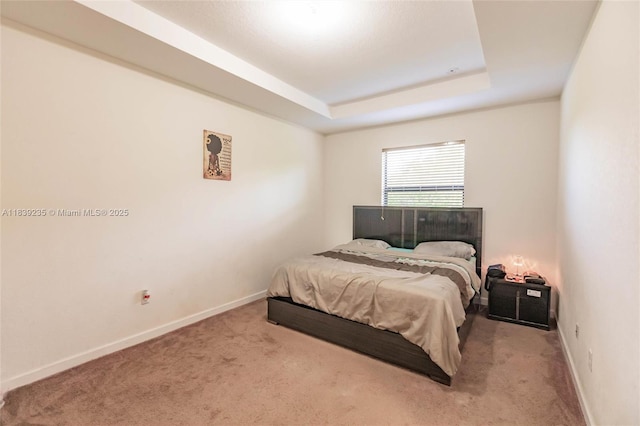 6586 S Anise Ct, Davie, FL 33314 - carpeted bedroom with baseboards and a tray ceiling