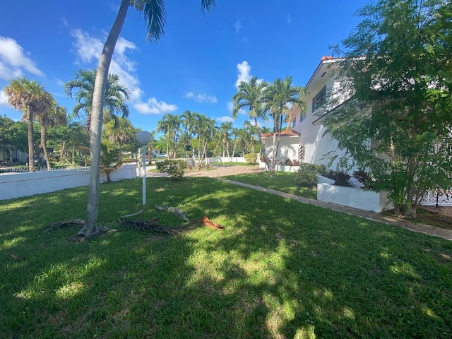 290 NE 108th St, Miami, FL 33161 - view of yard