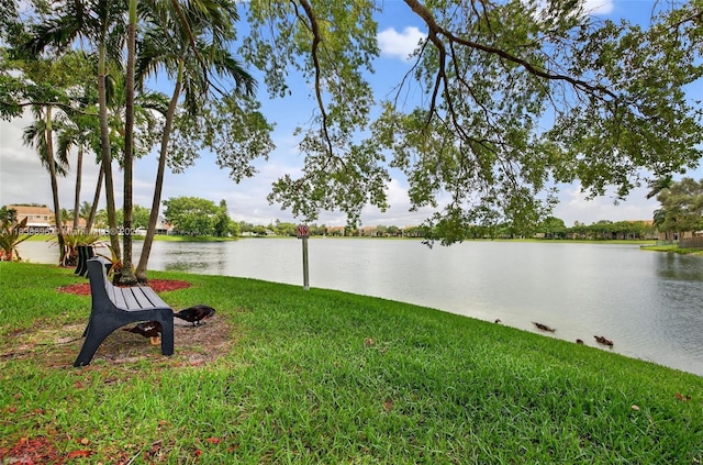 10871 SW 11th Mnr, Davie, FL 33324 - water view