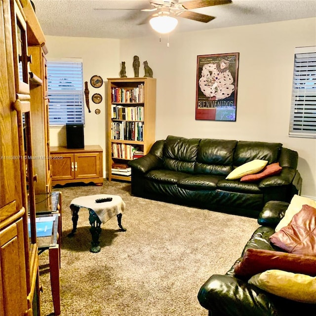 7751 Southampton Ter Unit 310, Tamarac, FL 33321 - living area with carpet floors, a ceiling fan, and a textured ceiling