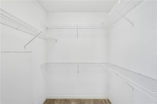 7751 Southampton Ter Unit 310, Tamarac, FL 33321 - view of spacious closet
