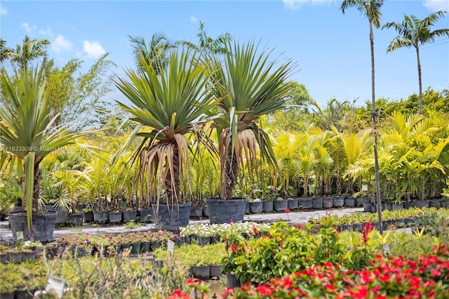 31877 SW 197th Ave, Homestead, FL 33030