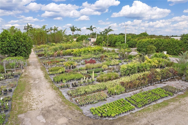 31877 SW 197th Ave, Homestead, FL 33030