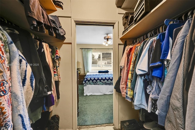 85 NW 21st St, Homestead, FL 33030 - walk in closet featuring carpet floors