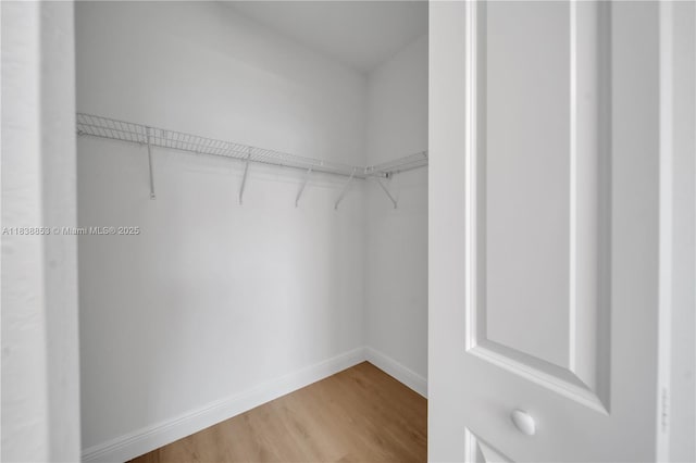 12960 SW 232nd Ln, Homestead, FL 33032 - spacious closet featuring light wood-style flooring