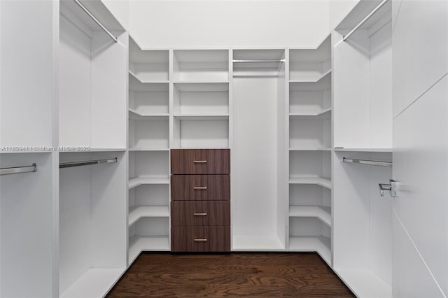 10431 NW 68th Ter, Doral, FL 33178 - walk in closet featuring dark wood-style floors