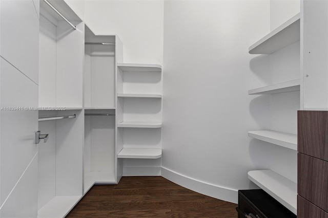 10431 NW 68th Ter, Doral, FL 33178 - walk in closet with dark wood-type flooring