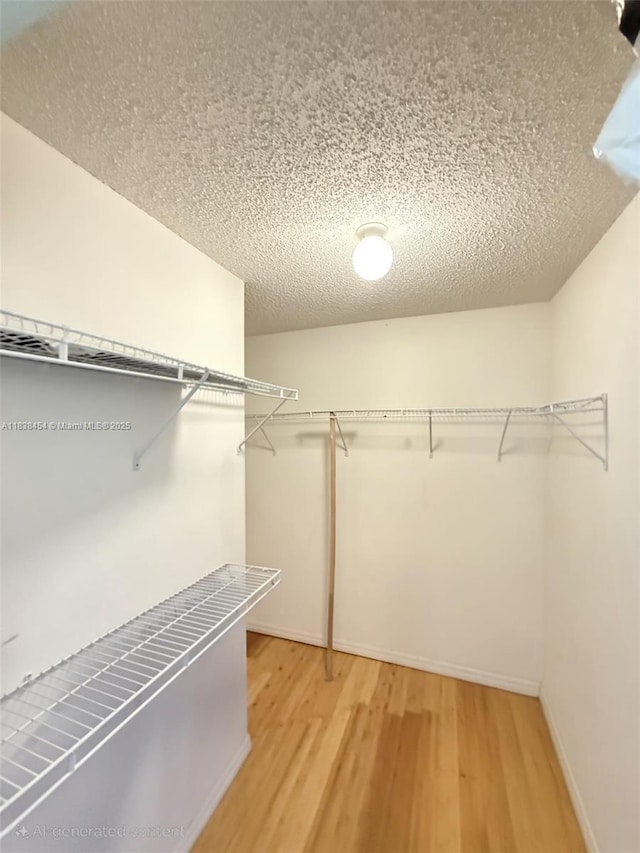5338 NW S Crisona Cir, Port St Lucie, FL 34986 - spacious closet featuring light wood-type flooring