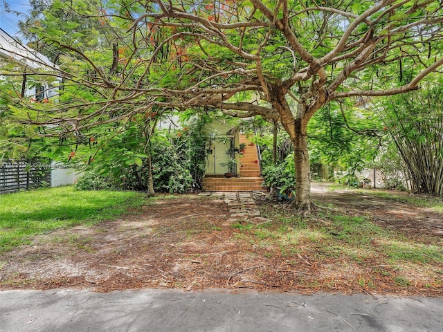 3210 E Elizabeth St, Miami, FL 33133 - view of yard