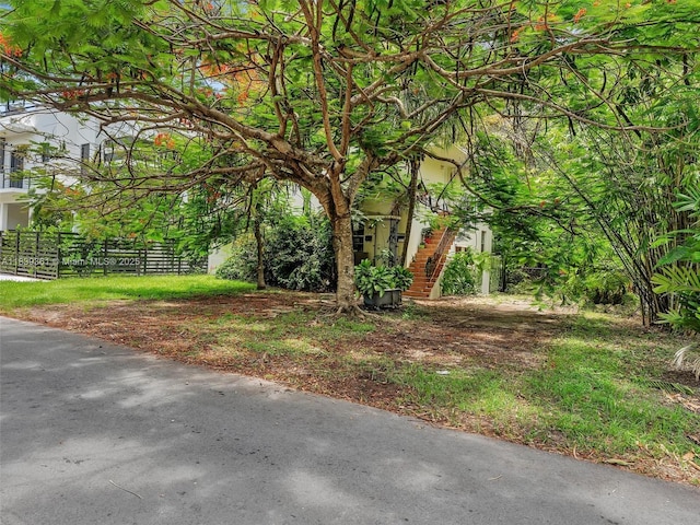 3210 E Elizabeth St, Miami, FL 33133 - view of yard