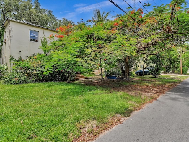 3210 E Elizabeth St, Miami, FL 33133 - view of green lawn