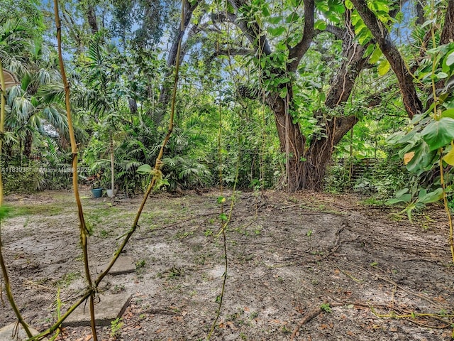 3210 E Elizabeth St, Miami, FL 33133 - view of undeveloped land