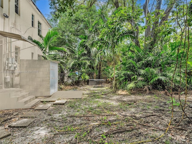 3210 E Elizabeth St, Miami, FL 33133 - view of yard