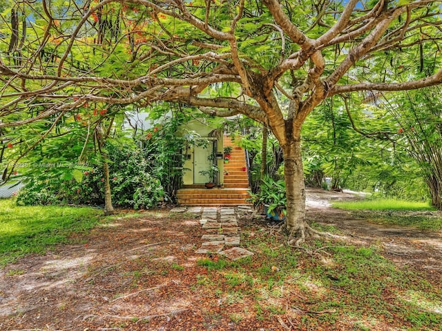 3210 E Elizabeth St, Miami, FL 33133 - view of yard