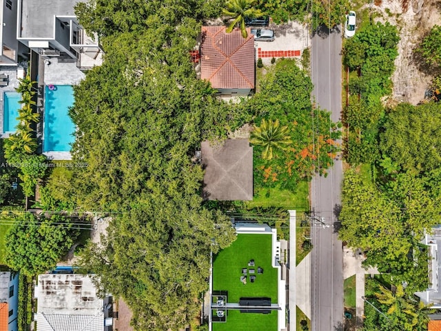 3210 E Elizabeth St, Miami, FL 33133 - drone / aerial view of a pool