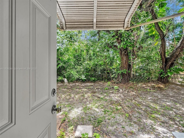 3210 E Elizabeth St, Miami, FL 33133 - view of yard