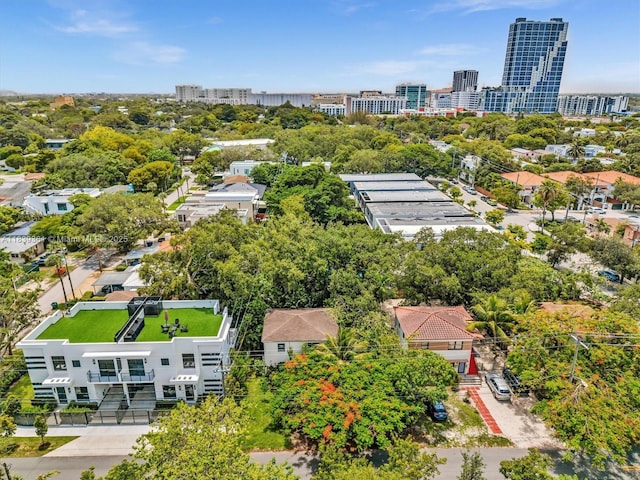 3210 E Elizabeth St, Miami, FL 33133 - view of urban area