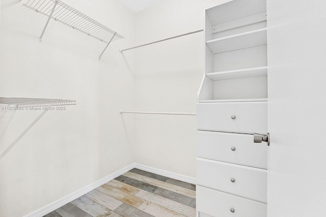 3066 S Red Mangrove Ln S Unit 201-2, Dania Beach, FL 33312 - spacious closet with wood finished floors